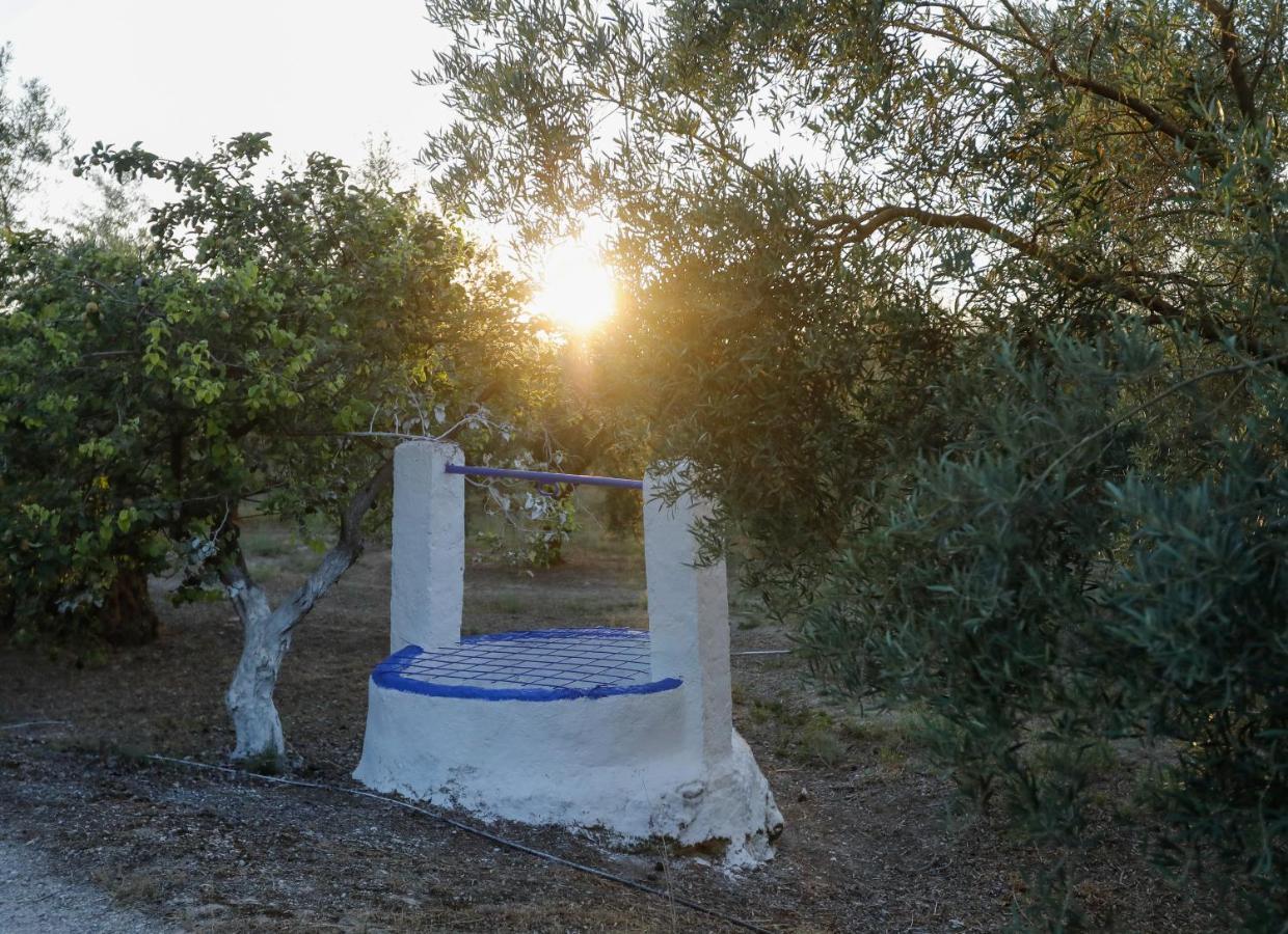 Vila Cortijo Botanico El Cerro Cabra Exteriér fotografie