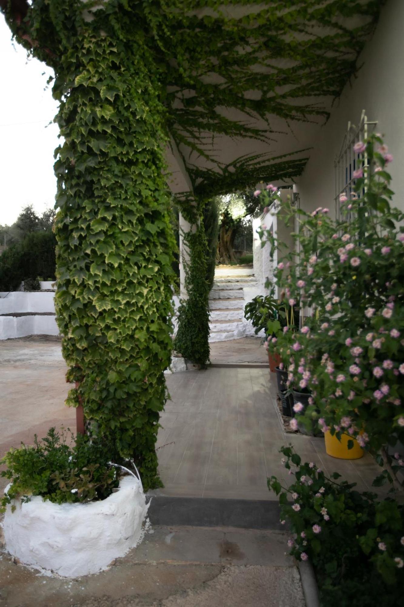 Vila Cortijo Botanico El Cerro Cabra Pokoj fotografie